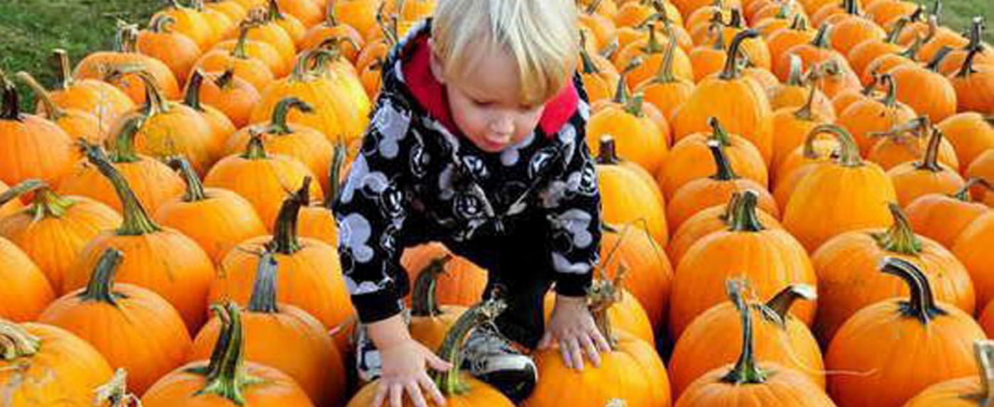 Linetec associates are grateful to give