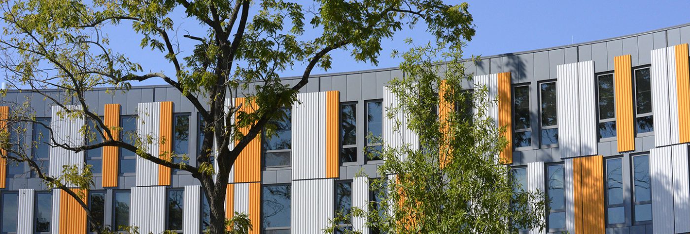 Linetec painted project