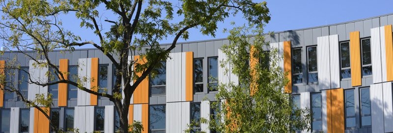 Linetec painted project