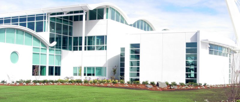 Royal Caribbean Cruise-Dri-Design