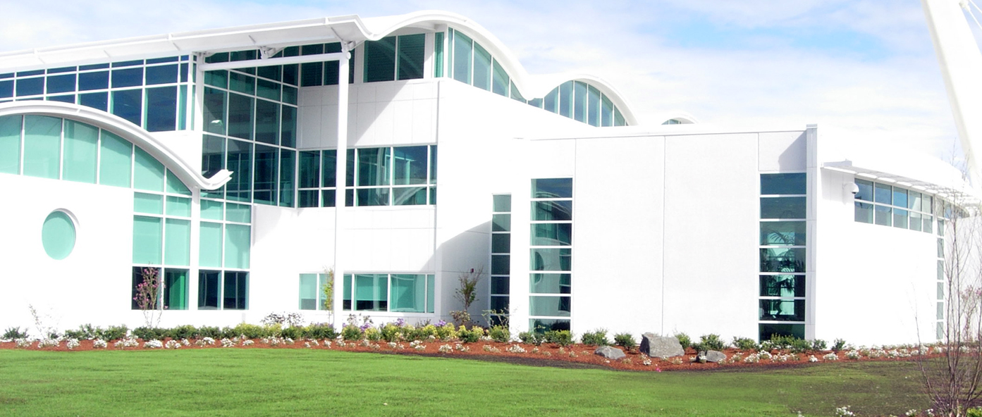 Royal Caribbean Cruise-Dri-Design