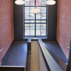 SteelElm_0274-small