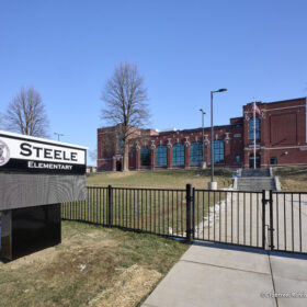 SteelElm_0323-small